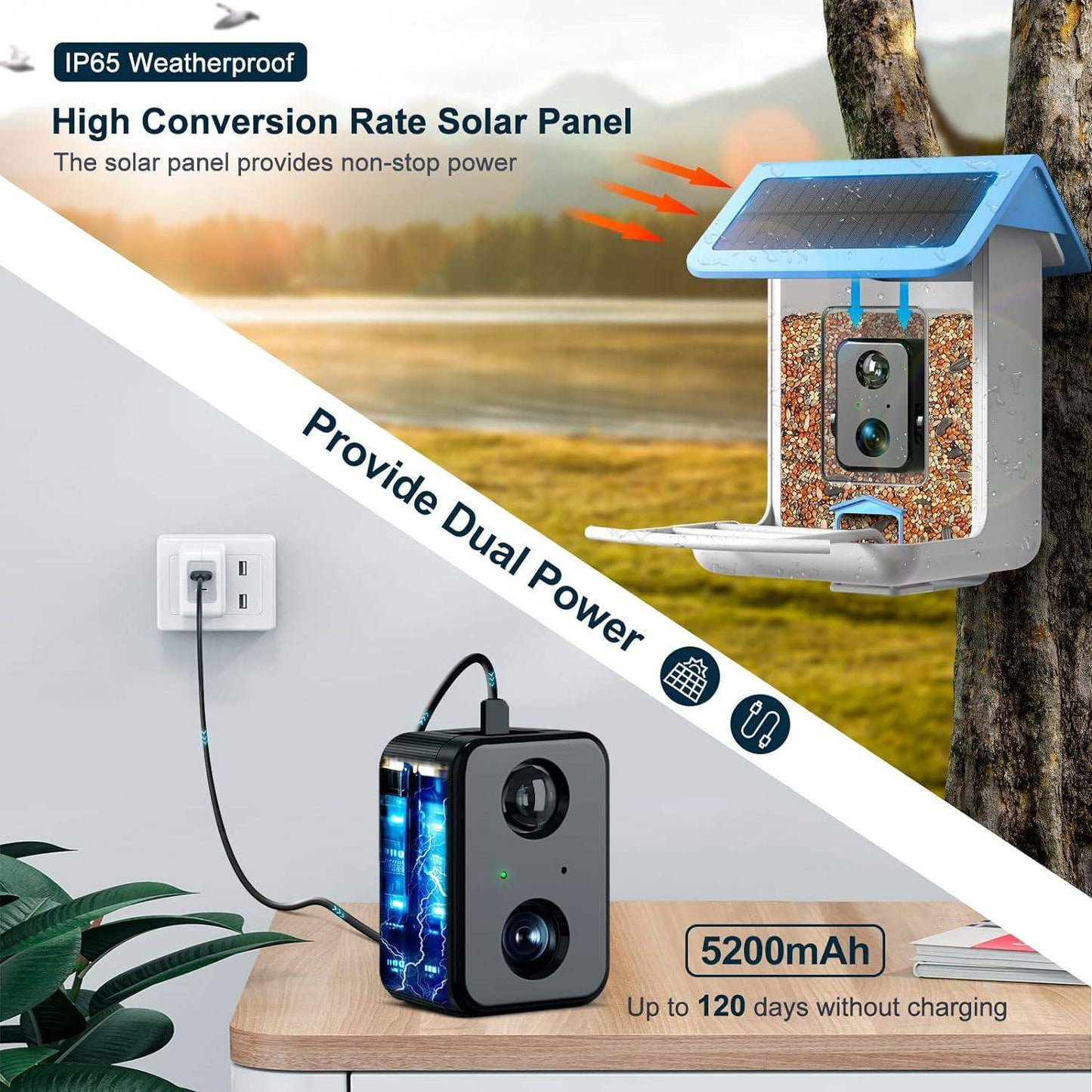 Smart Bird Feeder Camera