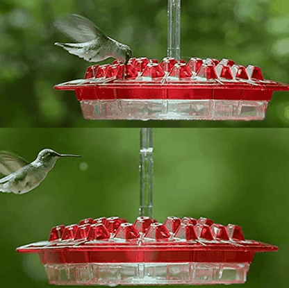 Ant Proof Hummingbird Feeder Outdoor Hanging Perch