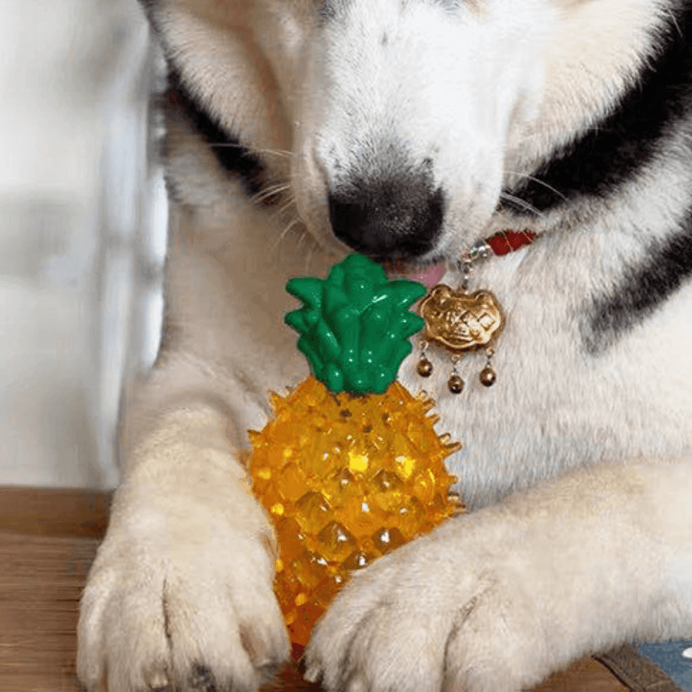 Cooling Freezable Summer Pet Dog Teething Chew Toy