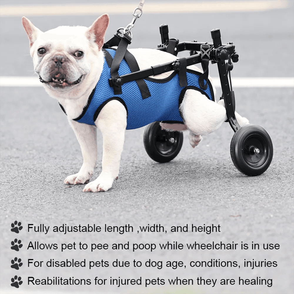 Dog Wheelchair Disability Dog Hind Legs Bracket Cat Dog Injured And Weak Rehabilitation Aid Car Adjustable Pet Walk Booster