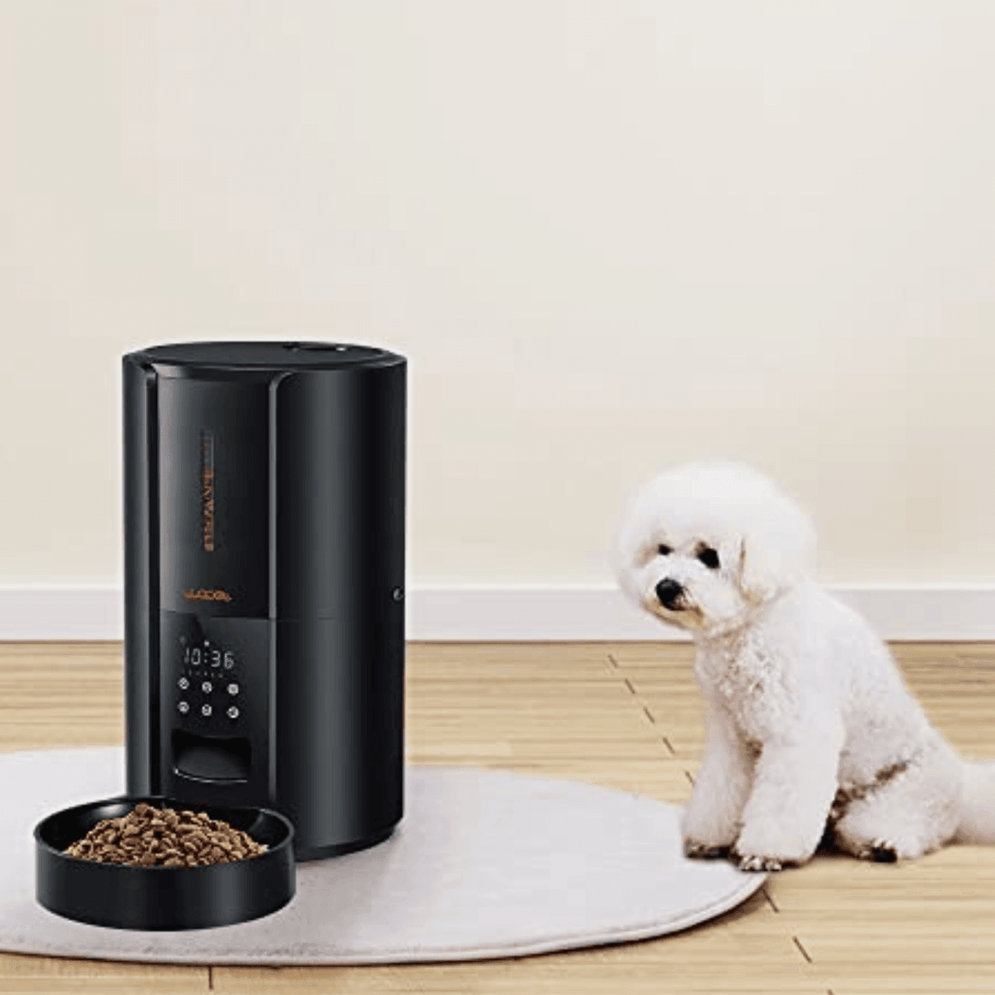 Exclusive Large Automatic Dog Cat Time Pet Food Feeder Dispenser