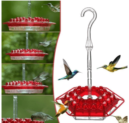 Ant Proof Hummingbird Feeder Outdoor Hanging Perch