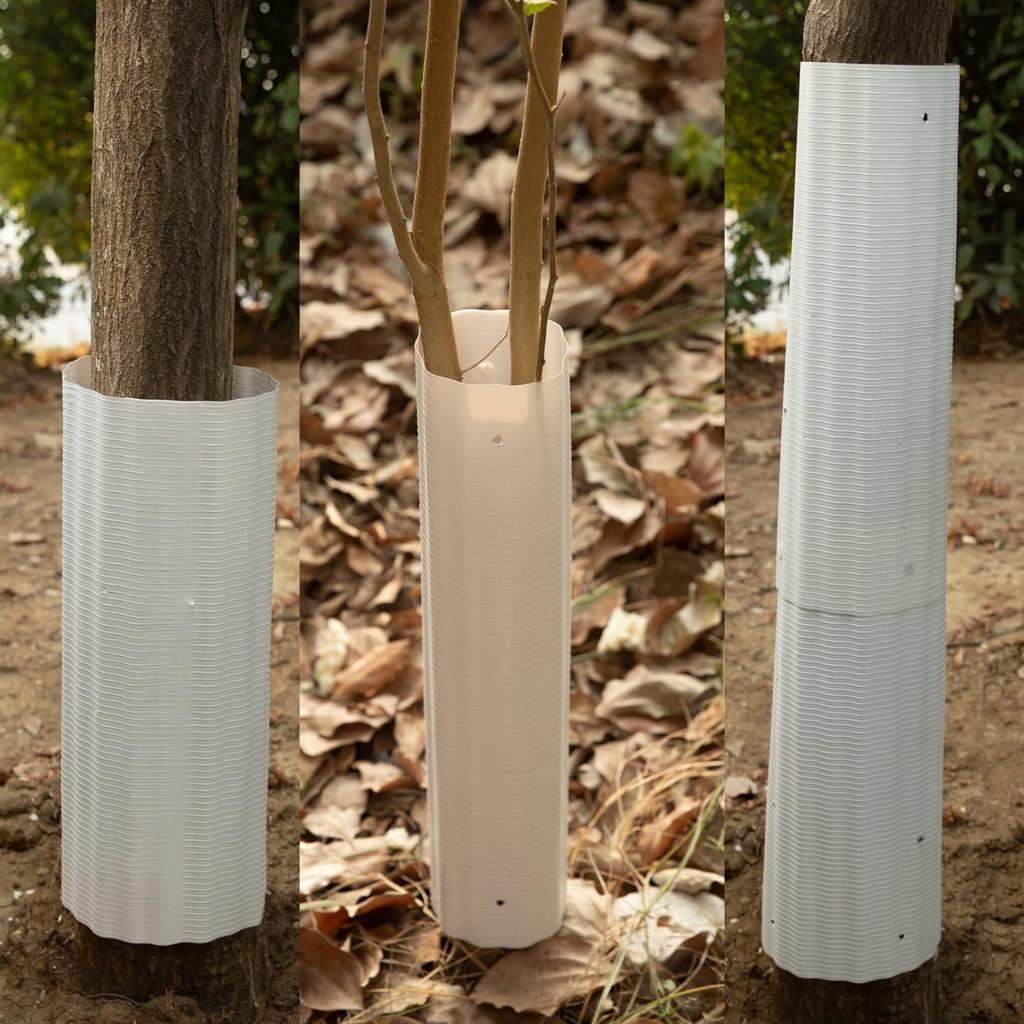 Squirrel Baffle For Trees - 6 Pack