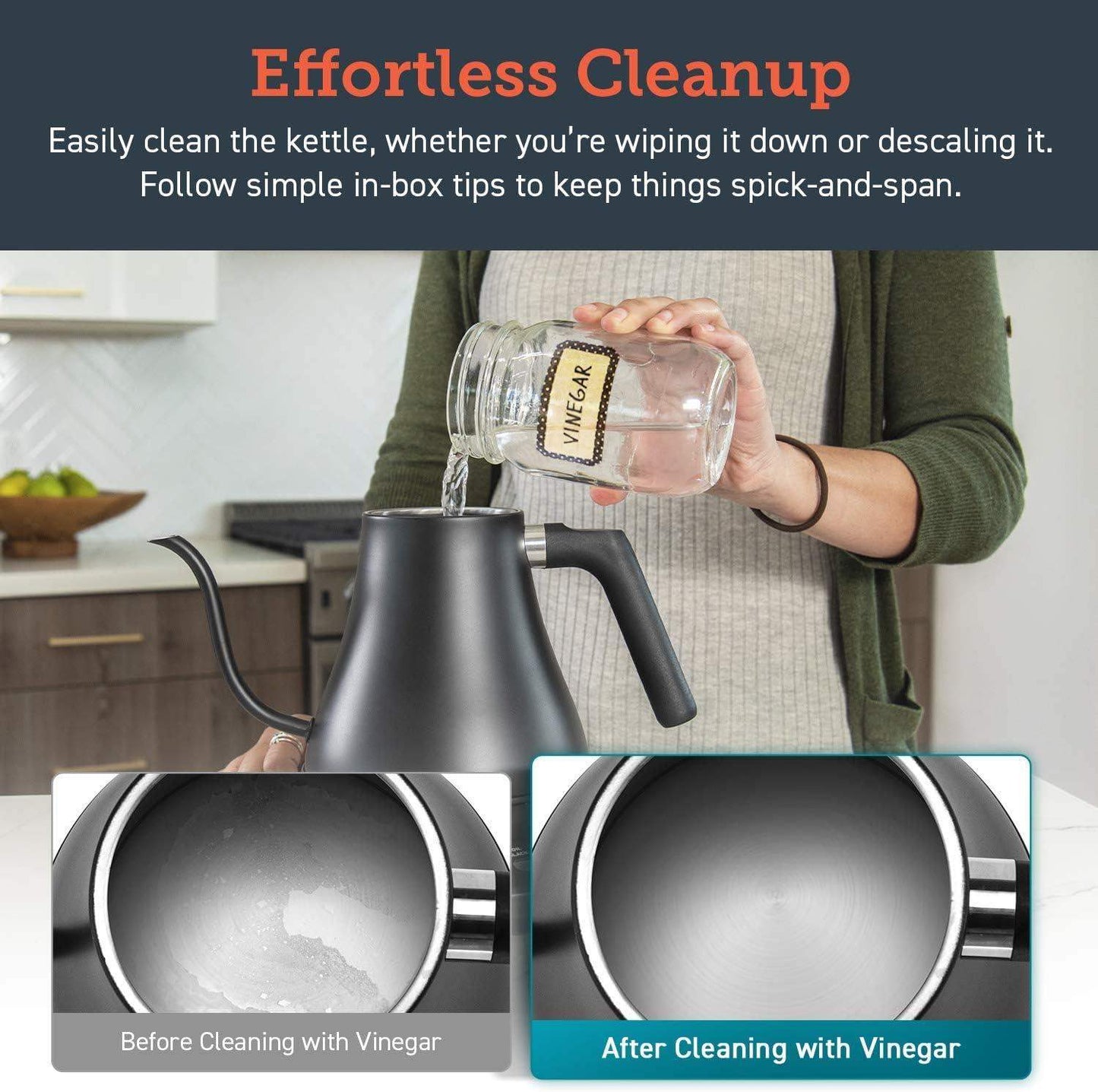 Electric Gooseneck Kettle