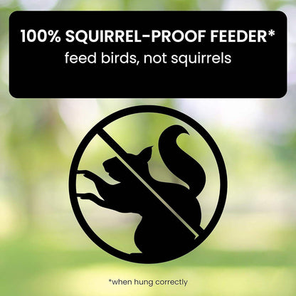 Squirrel-Proof Bird Feeder