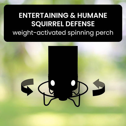 Squirrel-Proof Bird Feeder