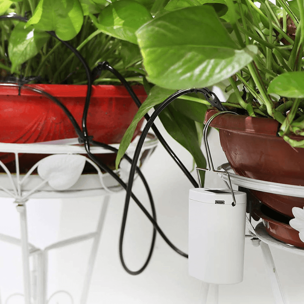 Smart Garden Auto Watering System for Healthy Plant Growth