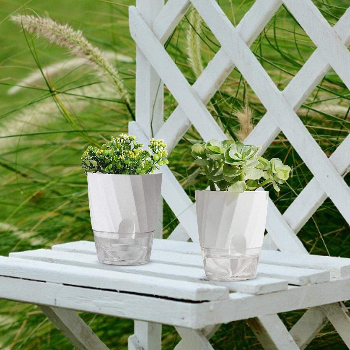 Self Watering Planter