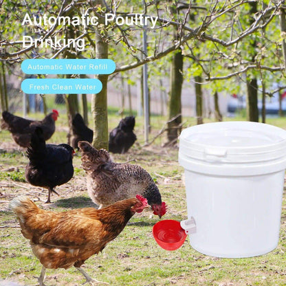 10 Pcs Chicken Waterer