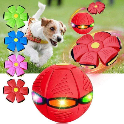 Flying Saucer Ball Dog Toy