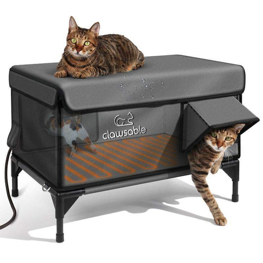 Winter-Proof Outdoor Cat Shelter