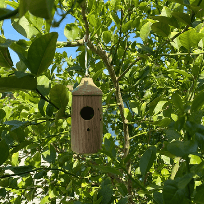 Wooden Hummingbird House - Gift for Natural Lovers