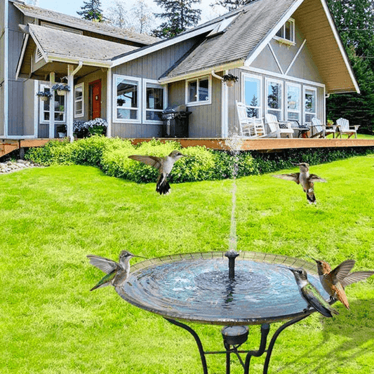 Solar-Powered Garden Fountain Pump