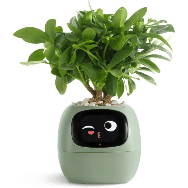 Smart Plant Pot Ivy - Innovative Plant Care