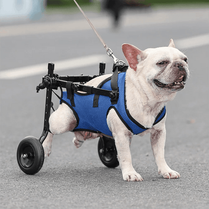 Dog Wheelchair Disability Dog Hind Legs Bracket Cat Dog Injured And Weak Rehabilitation Aid Car Adjustable Pet Walk Booster